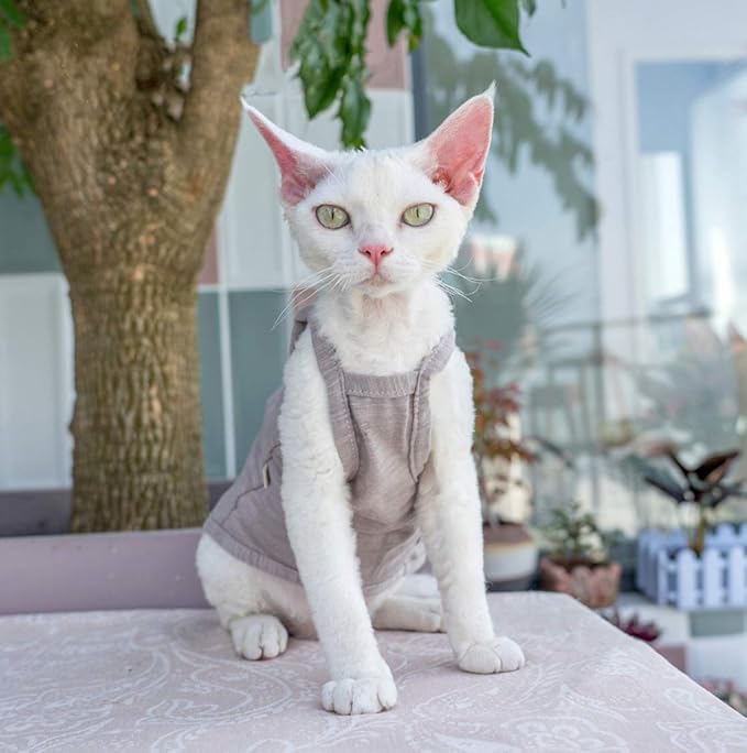 Hairless Cats Solid Cotton Camisole, Breathable Summer Tank Tops for Sphynx, Cornish Rex, Devon Rex, Peterbald, Cat Wear Hairless Cat Clothes Soft Skin-Friendly Cats Apparel Assorted Colors and Sizes