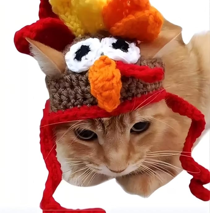 Crochet Turkey Hat for Cats & Small Dogs, Hand Knitted Thanksgiving Pet Costume, Halloween Party Photo Prop for Kittens and Puppies