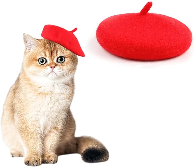 Pet Cat Dog Beret Hat Funny Artist Wool Beret Hat Pet Headwear Fashion Accessories for Winter Birthday Party (Red)