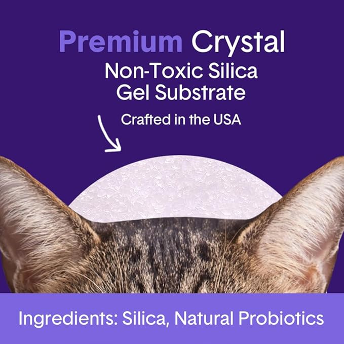 Boxie Probiotic Cat Litter, 40-Day Odor Control, Non-Clumping, Dust-Free, Crystal, 6lb, Multi-Cat