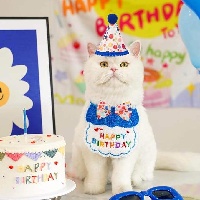 Cat Birthday Party Supplies, Girl Boy Cat Kitten Birthday Bandana Hat Numbers Decorations Outfits Set, Blue