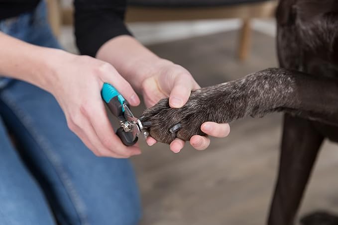 TRIXIE Pet Grooming Nail Clippers, for Medium and Large Size Dogs, 6" (16cm)