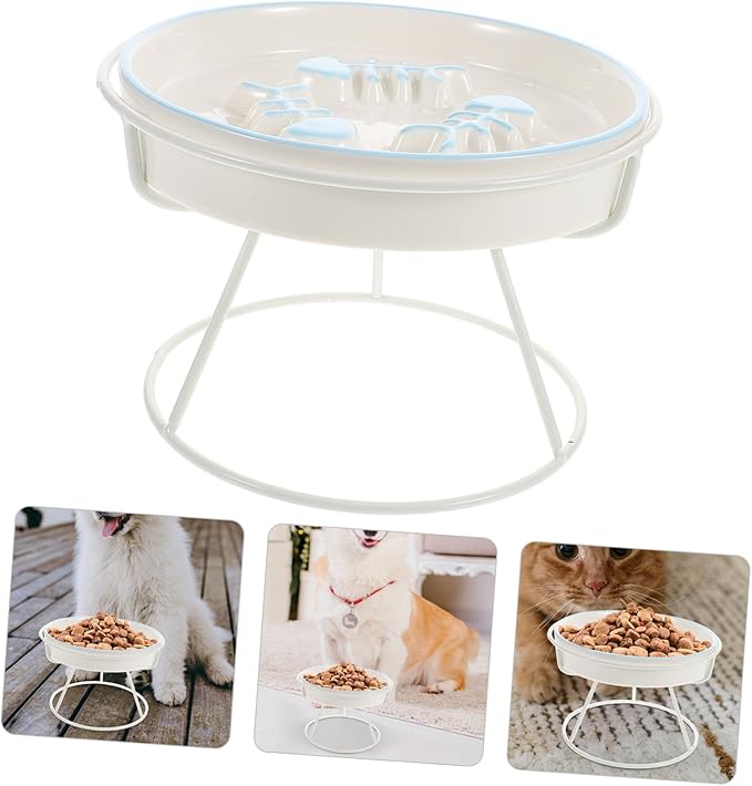 Raised Cat Bowl Food Feeding Station Slow Eating Ceramic Cat Dish with Elevated Stand Pet Feeder for Small and Kittens