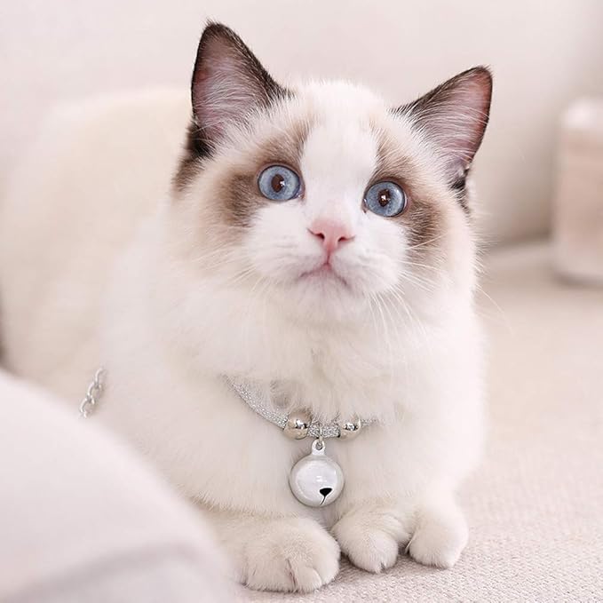 Cat Breakaway Nylon Collar, Adjustable Cat Collar with Bell, Safety Collar for Cats(White)
