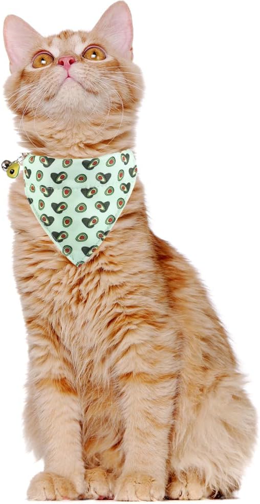 Lamphyface Cat Collar Breakaway with Cute Bow Tie Bandana and Bell Fruits Accessories for Kitty Adjustable Safety