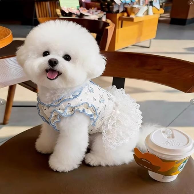 Summer Pet Dress for Small Dogs Cats, Ice Silk Cotton Floral Print Tutu Skirt with Built-in D-Ring, Breathable Sleeveless Puppy Kitten Outfit for Daily Walk and Photo (Blue-Tutu, X-Large)