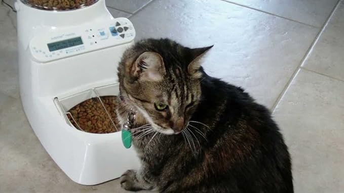 AutoDiet Feeder