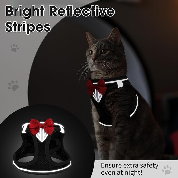 Cat Vest Harness and Leash Set for Walking Escape Proof, Adjustable Kitten Harness Breathable Mesh with Reflective Strips Harness for Kitty Puppy Bunny (Black,S)