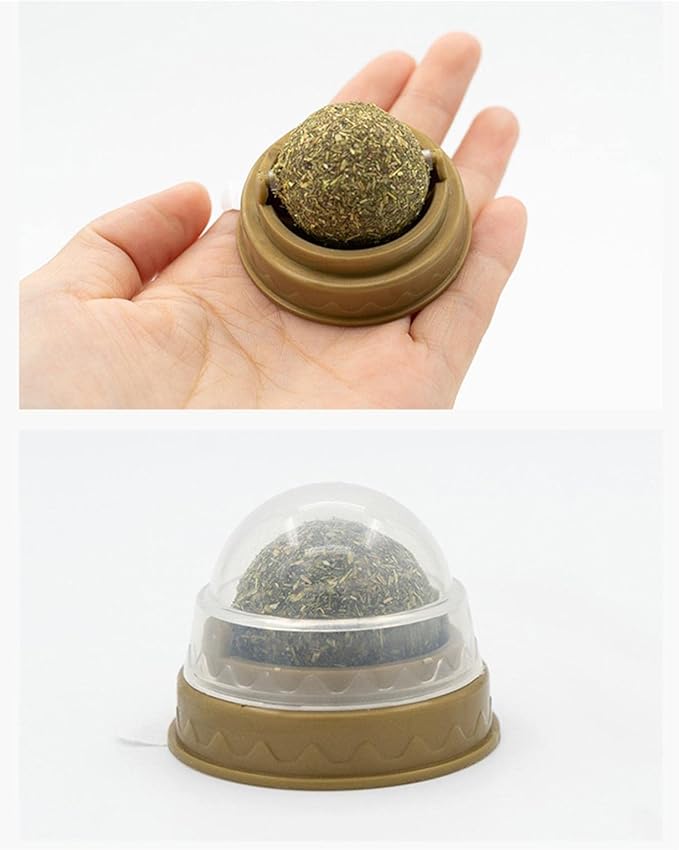 Snacks Catnip Ball Treats Solid