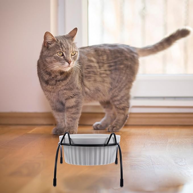 Ceramic Cat Bowl with Raised Iron Bracket, High Base Pet Food Feeder Set, White Fish Bone Bowl and Black Cat Ear Stand for Neck Protection and Indoor Feeding