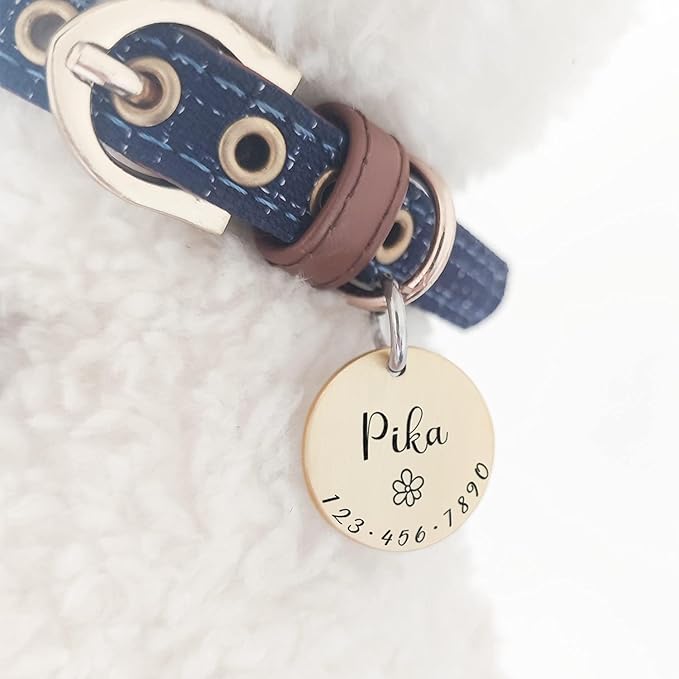 Cats Dogs ID Tags Personalized Lovely Symbols Pets Collar Name Accessories Custom Engraved Supplies for Extra Small Four Legged Child Necklace Chain Anti-Lost Metal Simple Shiny Brass Charm
