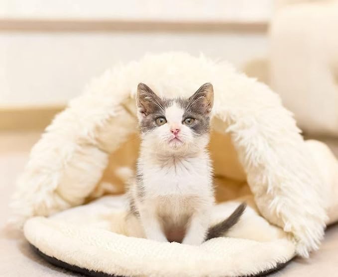 Pet Slipper Cave Bed for Indoor Cats and Small Dogs, Cat Bed with Scratching Board, Anti-Slip & Durable, Washable for Kittens and Small Pets, Beige