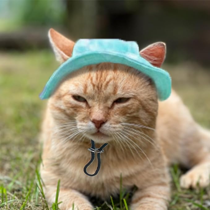 Pet Hat with Ear Holes Sunscreen Cap, Adjustable String Dog Cat Summer Sun Hat,Cat Dog Bucket Hat for Birthday Party Costume Decoration Outdoor Hiking (Green, Medium)