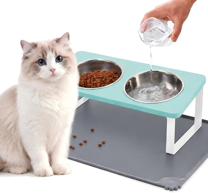 Upgraded Elevated Cat Bowls with Food Mat,15°Tilted Stand Anti Vomiting Raised Cat Dishes for Food and Water,2 Stainless Steel Bowls for Cats and Puppy（Teal）