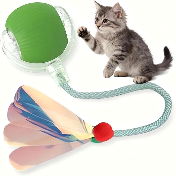 Interactive Cat Toy for Indoor Cats - Automatic Cat Toy Ball with Tail, Self Moving Electric Kitten Toys, USB Rechargeable Smart Rolling Ball, Motion Activated Cat Enrichment Toys for Bored Cats Green