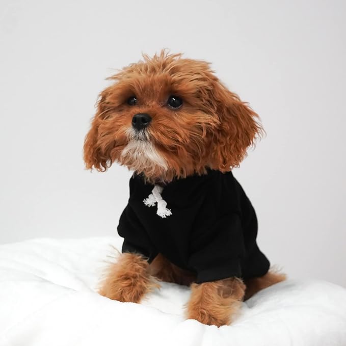 Grandpa's Lucky Charm Dog Hoodie | Fleece Lined |Leash Hole| St.Patrick's Day | Lucky | Shamrock | Irish Holiday|Green, X-Large 1203