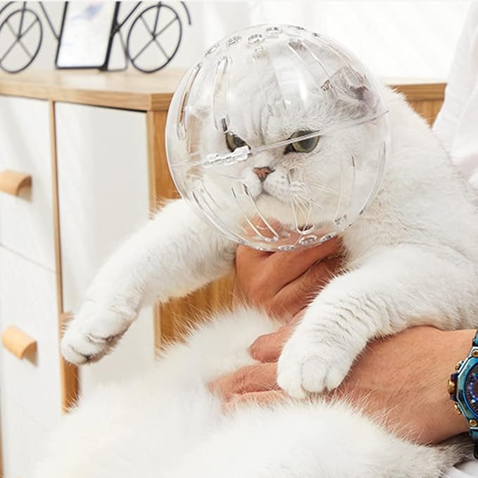 Cat Muzzle for Grooming, Transparent Cat Helmet Anti Bite Muzzles Adjustable Breathable Kitty Hood Anti Bite Bubble Astronaut Groomin Mask for Pet Bath Nail Trimming (m)