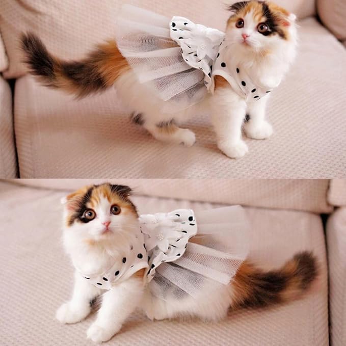 ANIAC Floral Cat Bridal Wedding Dresses Polka Dots Dog Princess Tutu Dress with Flowers Stretchy Breathable Small Puppy Clothes for Girls Pet Birthday Outfit (White, X-Small)