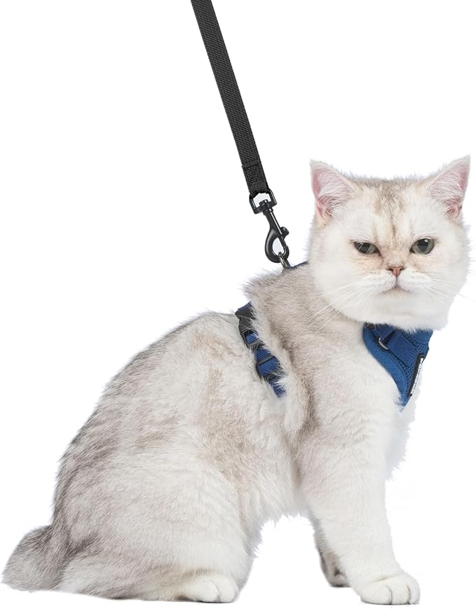 Voyager Escape-Proof Step-in Lock Cat Harness & 5ft Neoprene-Handle Leash Set All-Weather Mesh with Reflective Stitching for Small to Large Cats by Best Pet Supplies, Royal Blue, XXS