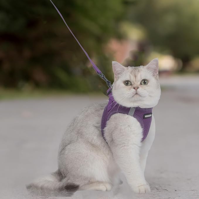 Voyager Step-in Pet Harness - All Weather Mesh, Adjustable Step in Harness for Cats and Dogs by Best Pet Supplies - 307S Purple, S