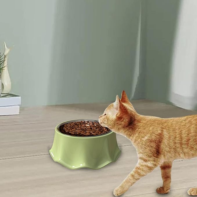 Cat Bowls Indoor Cats Cat Food Bowl Easy Cleaning Anti Over Turning Cat Feeding Bowls Anti Slip Smooth Surface Lightweight for, Green