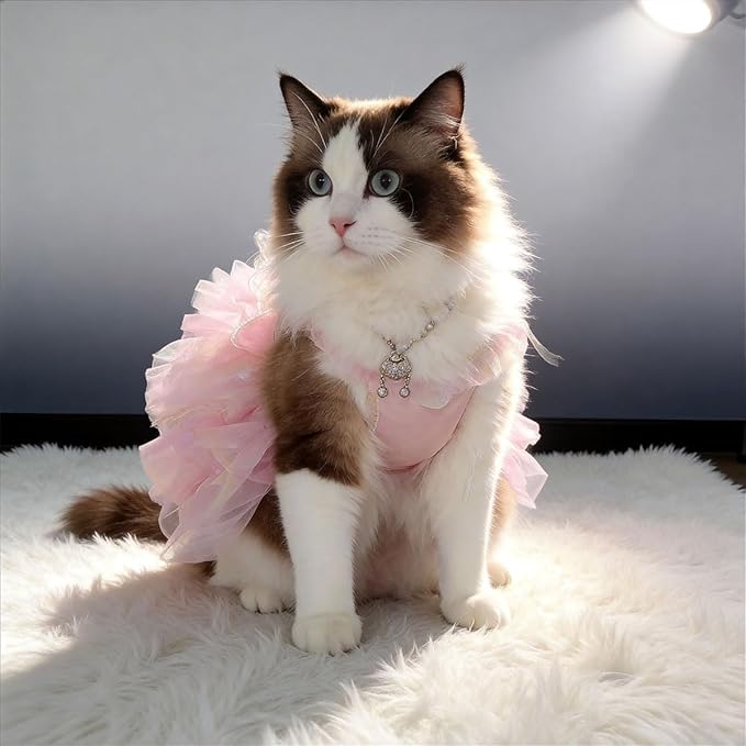 Rainbow Butterfly Princess Pet Skirt with D-Ring - Lace Tutu Set, Suitable for Puppies/Kittens, Chihuahuas, Yorkins, and Pomeranians | Holiday and Daily Wear (Rainbow-Butterfly, Small)
