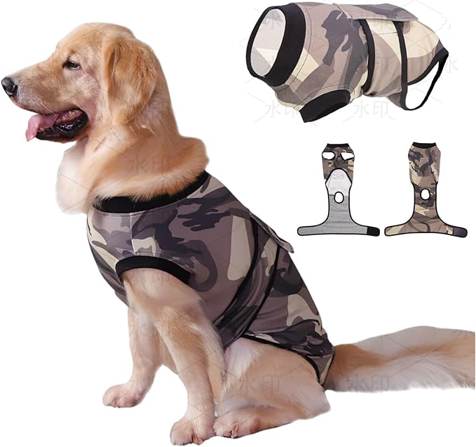 PET Glam Recovery Suit for Dogs Cats, After Surgery, Alternative E-Collar Dog CAT. PET Shirt Breathable Abdominal Wounds, Neuter Cotton, Prevent Licking Onesie Surgical (Green, XXL)