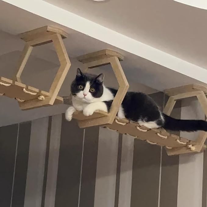 2Pcs Cat Bridge Shelves for Wall, Sky Corridor, Wooden Cat Wall Furniture, DIY Freedom Assembly
