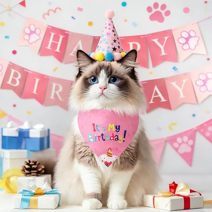 Cat Birthday Decorations Set - Cute Birthday Outfit with Hat, Bandana, Bow Tie, Balloons & Number Stickers for Kittens/Cats Party Photo Props & Festive Supplies