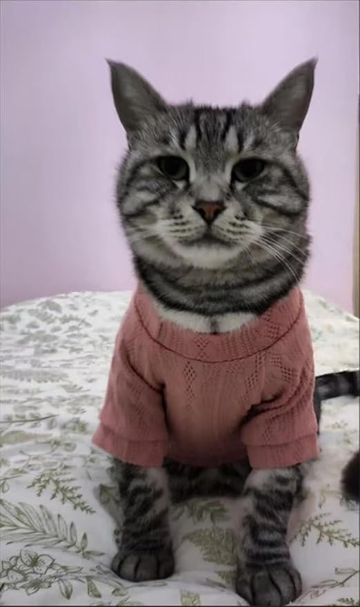 Kitten Clothes, Dog Cat Sweaters Pet Puppy Knitwear Costume Fall Winter Coat for Small Medium Cats Dog Girl Boy Fit 2.2-23lb