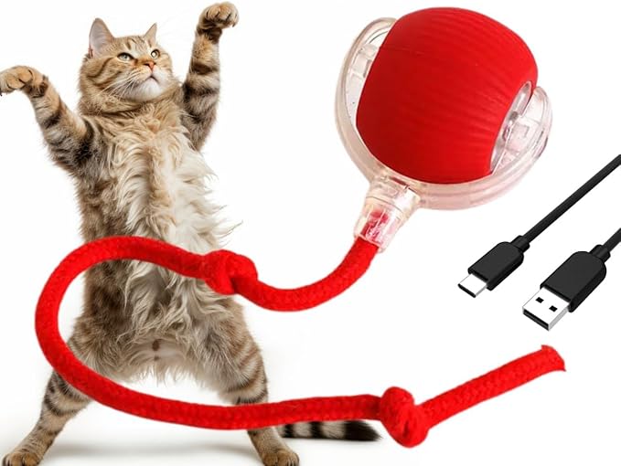 Cat Interactive Ball - Rechargeable, Motion Chase Toy, Self-Moving Kitten Toy for Indoor Playing, Fast on Carpet
