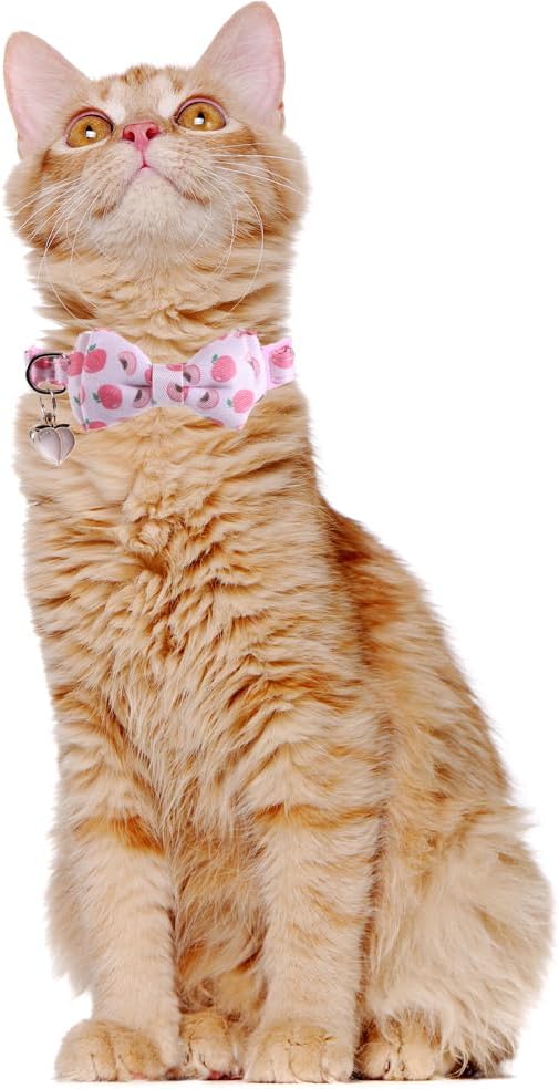 Cat Collar Breakaway with Cute Bow Tie and Bell Fruits Accessories for Kitty Adjustable Safety