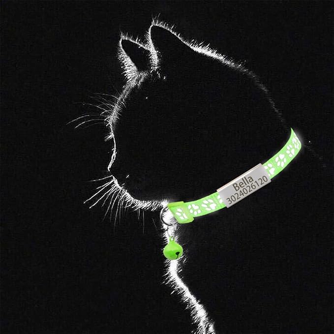 Personalized 2 Pack Reflective Cat Collar,Custom Breakaway Cat Collars with Name Tag and Bell,Anti-Lost Nameplate Cat Collar for Girls & Boys (YG Green,fit 8''-11.0'')