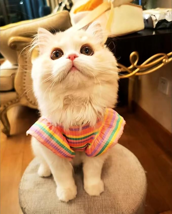 Dog Dress Clothes Puppy Birthday Outfit Pet T-Shirt Cut Rainbow Striped Summer Skirt Dresses for Small Medium Dogs Cats