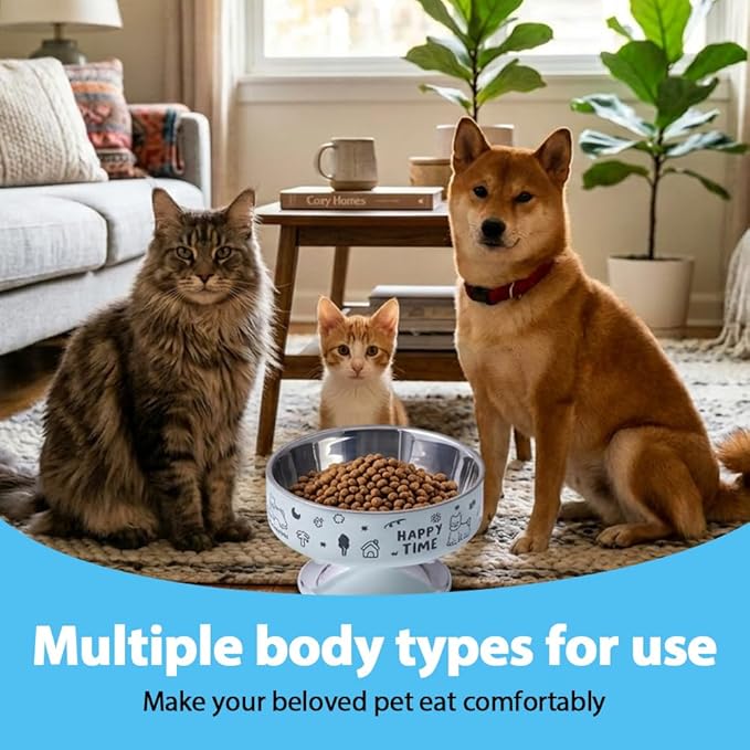 Stainless Steel Cat Bowl, Cute Cat Dish with Non-Slip Base, Large Diameter Pet Feeder Tool for Cats/Kittens/Dogs