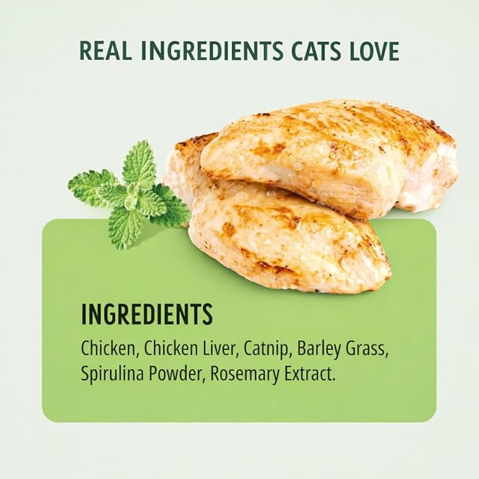 Freeze Dried Cat Treats Catnip Lollipops 4 Pops - High Protein Lickable Cat Nip Treats on Stick for Training Bonding - Cat Snacks No Artificial Flavors Preservatives for Kittens Cats All Ages