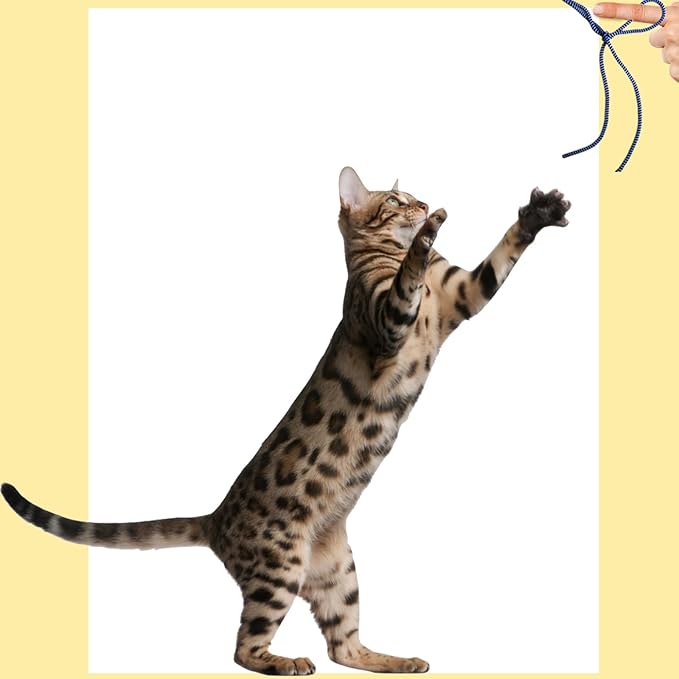 6 Color Cat String Toys Set, Durable for Interactive Games for Swatting, Biting, Hunting, and Active Healthy Play Interactive Cat Toys Indoor Cats