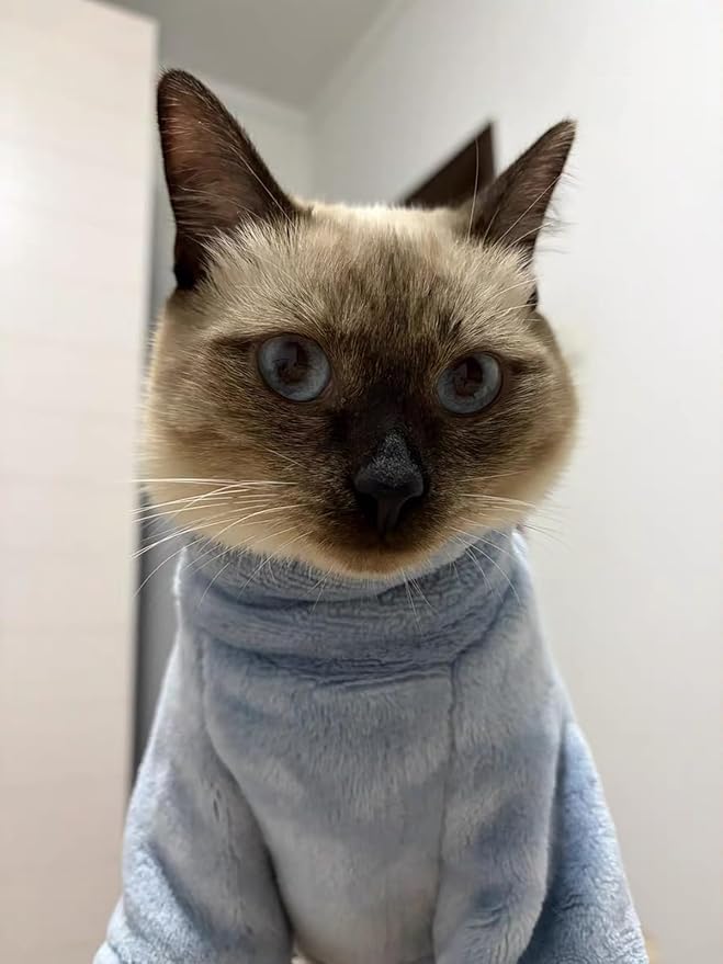 Sphynx Cat Clothes Winter Turtleneck Soft Coral Fleece Cat Clothes Thicken Warm Pajamas Coat for Hairless Cats and Small Cat Apparel with Sleeves (Light Blue, L (6-9.3lbs)