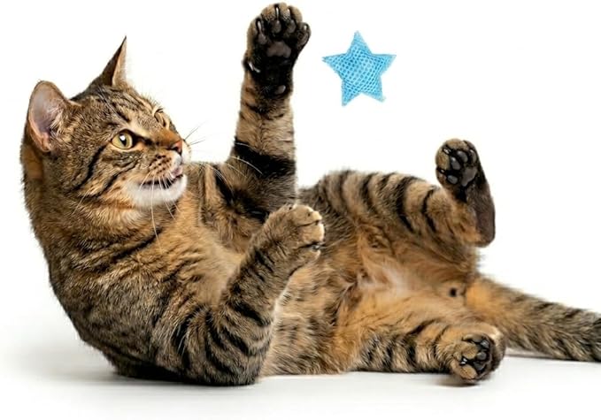 Youngever 9 Pack Catnip Star Cat Toys, Interactive Toys for Indoor Cats, Kittens