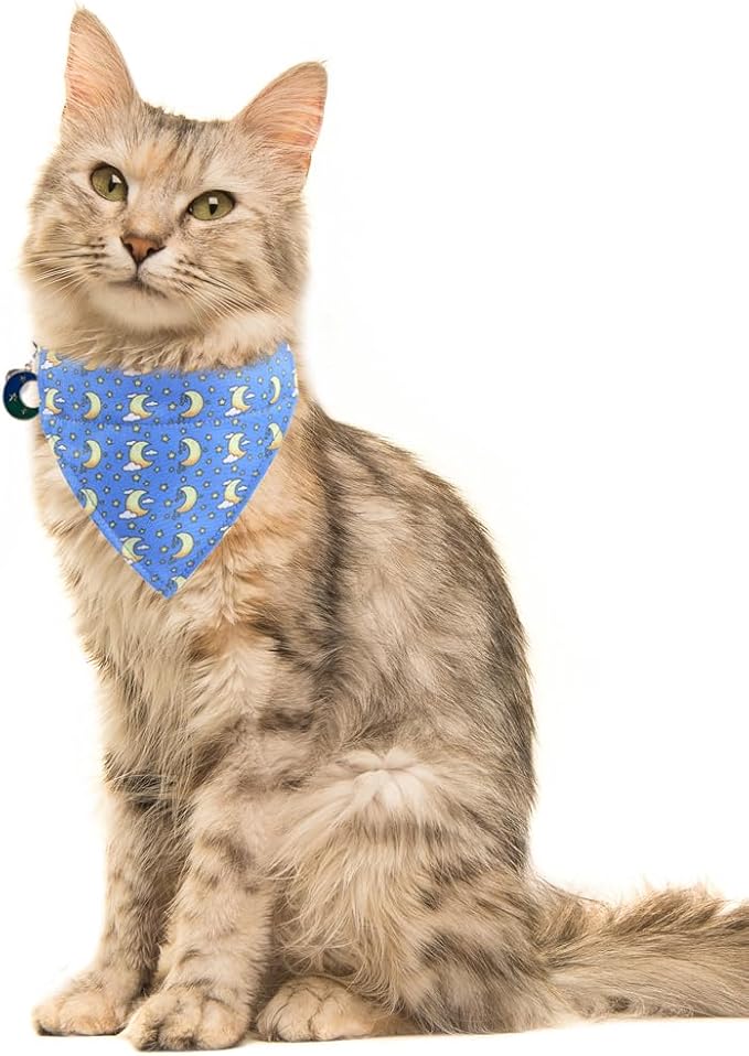 Lamphyface Cat Collar Breakaway with Cute Bow Tie Bandana and Bell Moon Accessories for Kitty Adjustable Safety