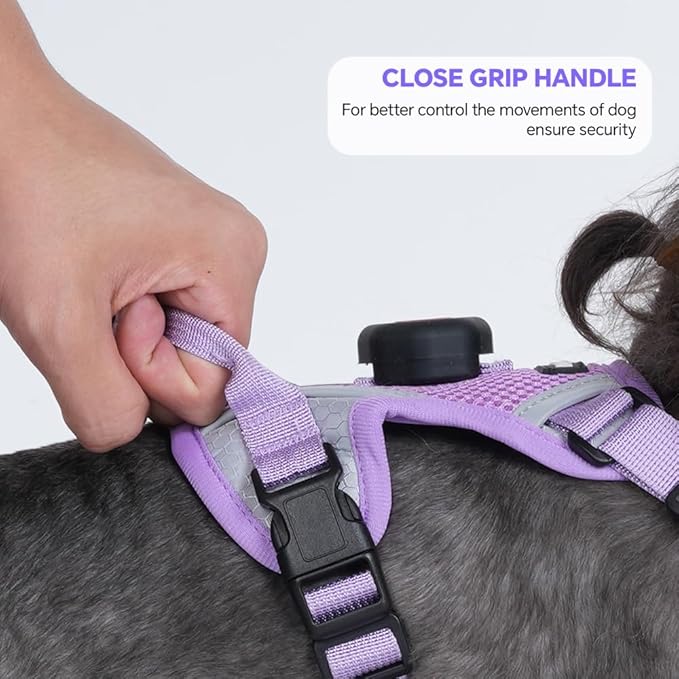 Cat Harness and Leash Set with AirTag Holder: Upgraded Escape Proof Vest with Lead for Small Dog Puppy Large Cat Walking，Soft Breathable Mesh Coat with Reflective Strip (Purple, L)