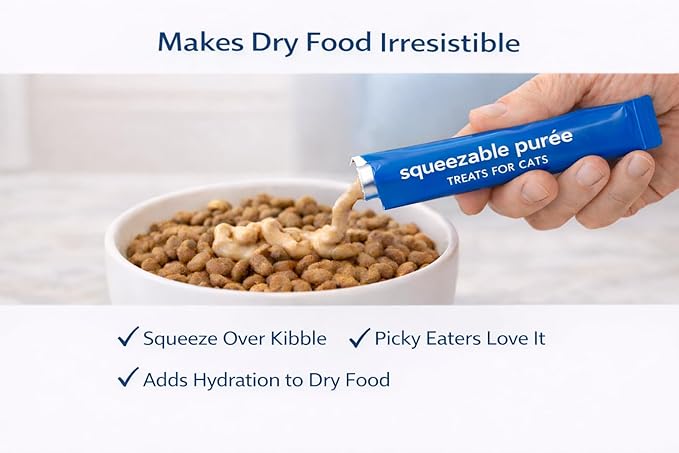 Lickable Cat Treats Squeezable Salmon Puree Tubes (12 x 0.5oz) | Grain Free Creamy Wet Treats for Picky Eaters Kittens Adults High Protein Omega Rich Food Topper Bonding Snack