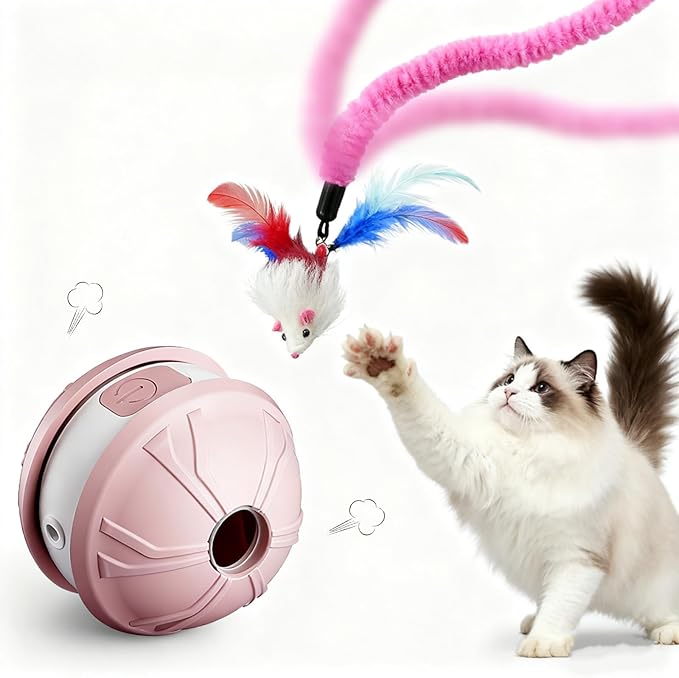Interactive Cat Toy Ball for Indoor Cats, 2-in-1 Smart Moving Cat Ball with Feather Accessories, Automatic Kitten Toys for Bored Indoor Cats, USB Rechargeable Ideal for Small and Medium Cats