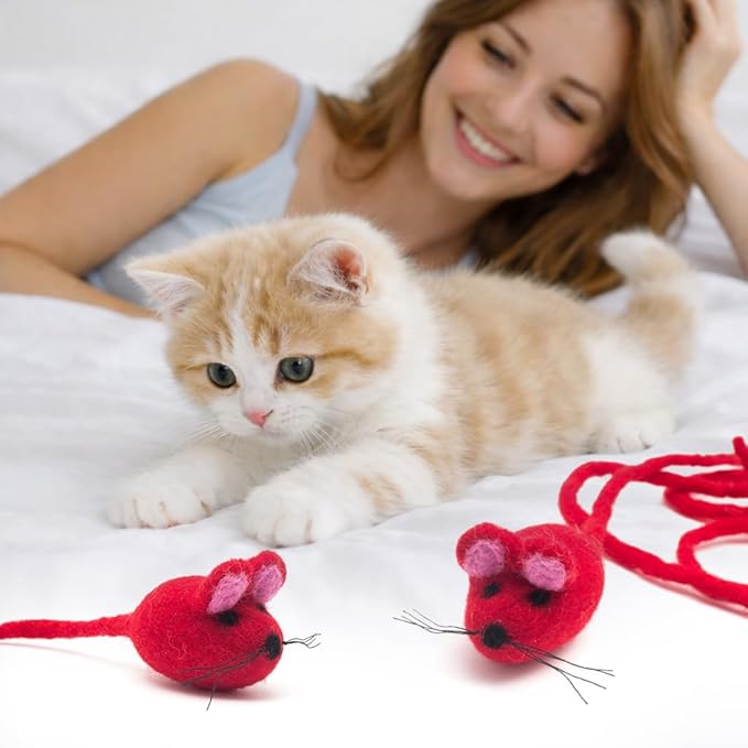 Glaciart One Felt Mouse Cat Toy – Soft Fuzzy Enrichment 100% Natural Wool - Interactive Catnip Play Cat Toy Set - Safe for Pets, Non-AZO Colored Dyes - 42” Long