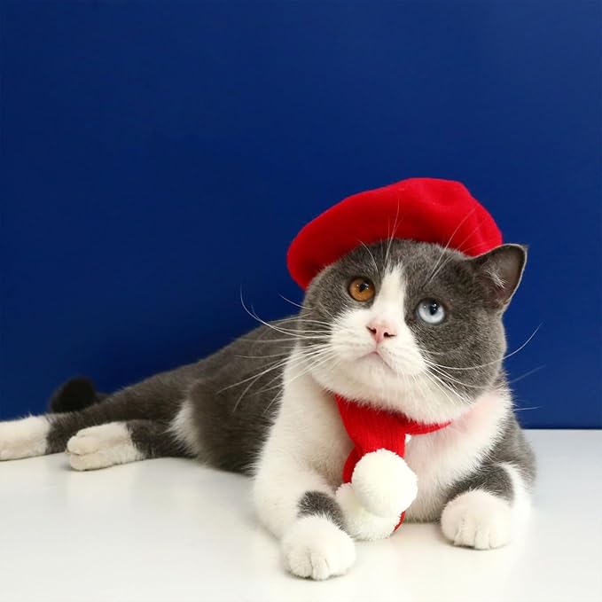 Pet Cat Dog Beret Hat Funny Artist Wool Beret Hat Pet Headwear Fashion Accessories for Winter Birthday Party (Red)