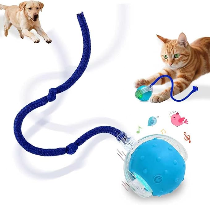 Interactive Cat Toys Smart Ball for Cats & Dogs! Now with 2 Rapid Tails. Features: 360°Auto-Rolling, Motion Activation& Bird Sounds. Perfect for Indoor Pet Exercise & Fun. (Blue)