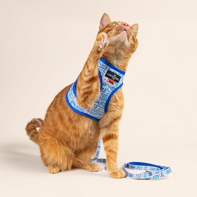 Lucy & Co. Tinned Fish Step-in Cat Harness & Leash Bundle – Reflective, Breathable & Adjustable Harness for Cats, Kittens & Small Dogs, Lightweight & Secure and Dual Leash Clips – X-Small