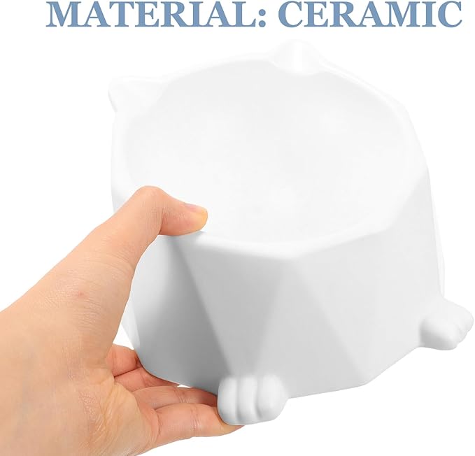 Elevated Ceramic Cat Bowl with Raised Stand, Anti-Spill Food and Water Dish for Cats and Kittens, White Floor Pet Bowl Suitable for Daily Feeding and Spine Protection
