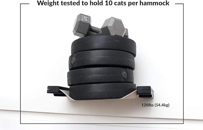 CatastrophiCreations Cat Lounge Hammock Wall Mounted Lounger for Climb and Play Furniture Cat Tree Shelves