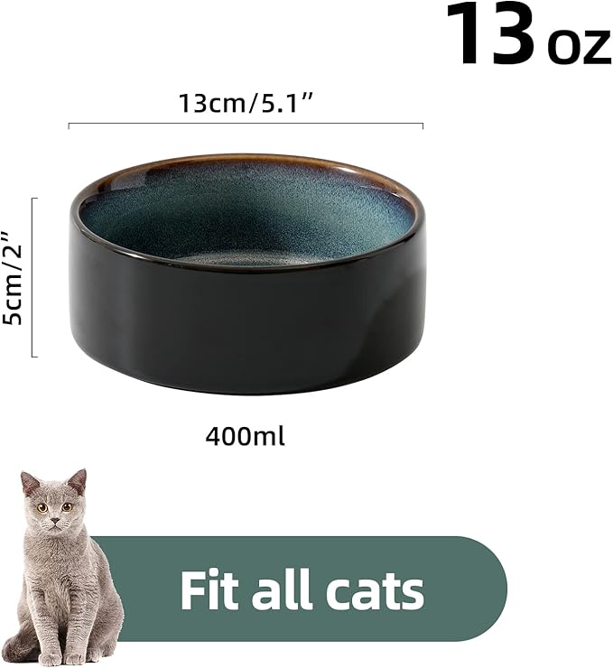 Havniva Cat Bowls Water Bowl Set of Two, 5.1” Ceramic Cat Food and Water Bowl Whisker Friendly Pet Food Bowls for Indoor Cats, Wide Cat Water Dish Prevent Whisker Fatigue Non Slip Cat Feeder